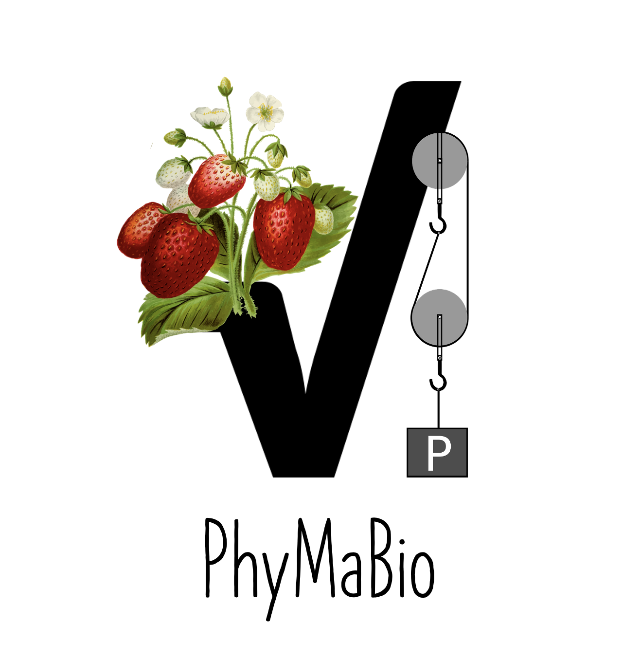 PhyMaBio