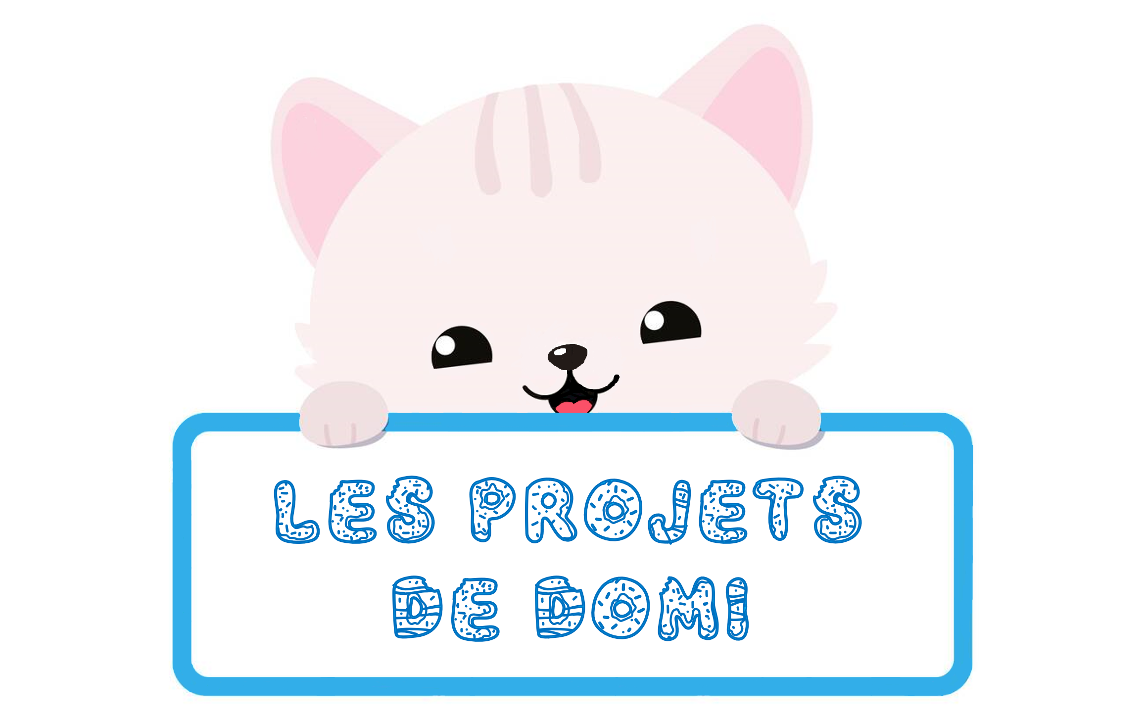 Les projets de Domi