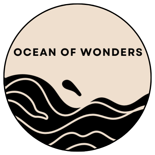 ocean of wonders
