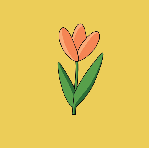 Frau Tulpe