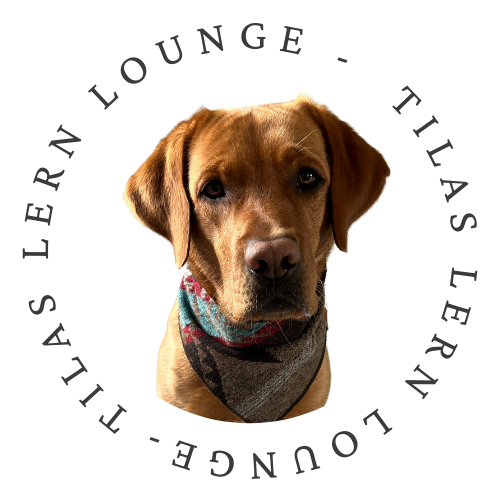 Tilas Lern Lounge