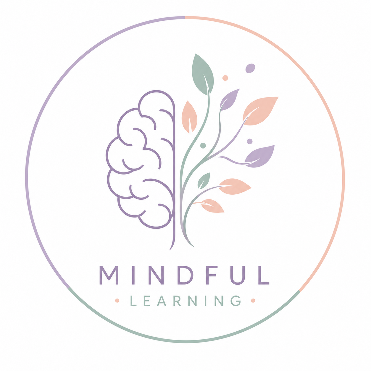 Mindful Learning 