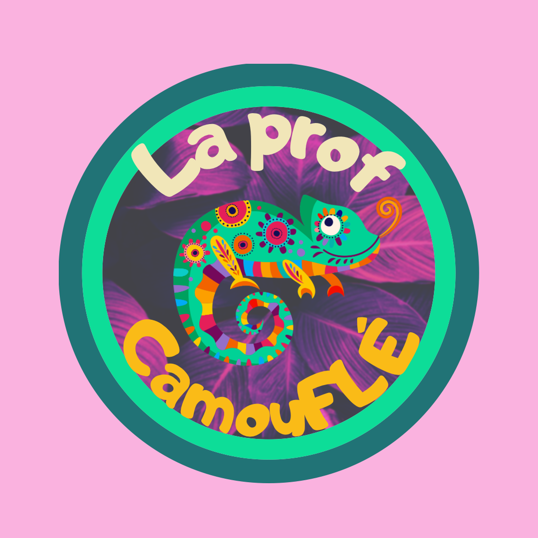 La Prof Camouflé