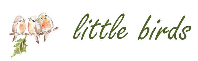 little birds preschool
