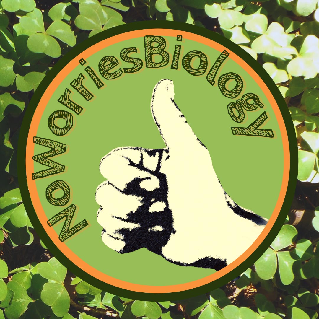 NoWorriesBiology