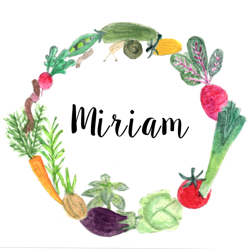 Miri.Am.Unterrichten