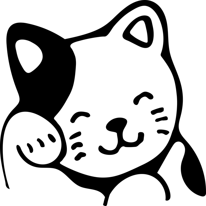 theblackcat