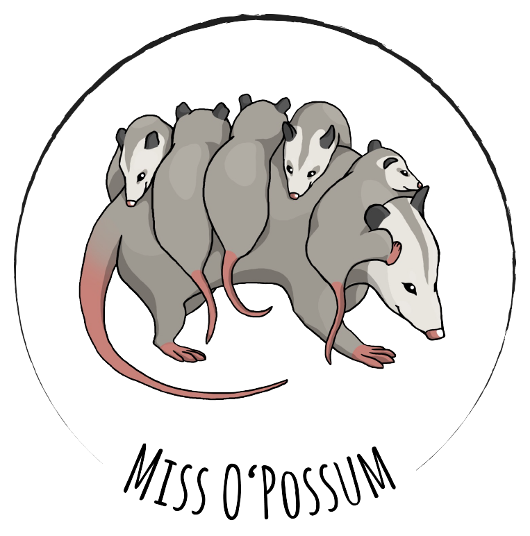 Miss O'Possum