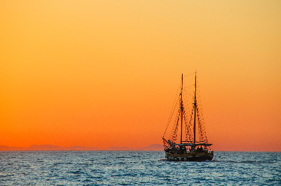 sjsch88