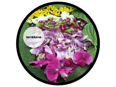 lernblume