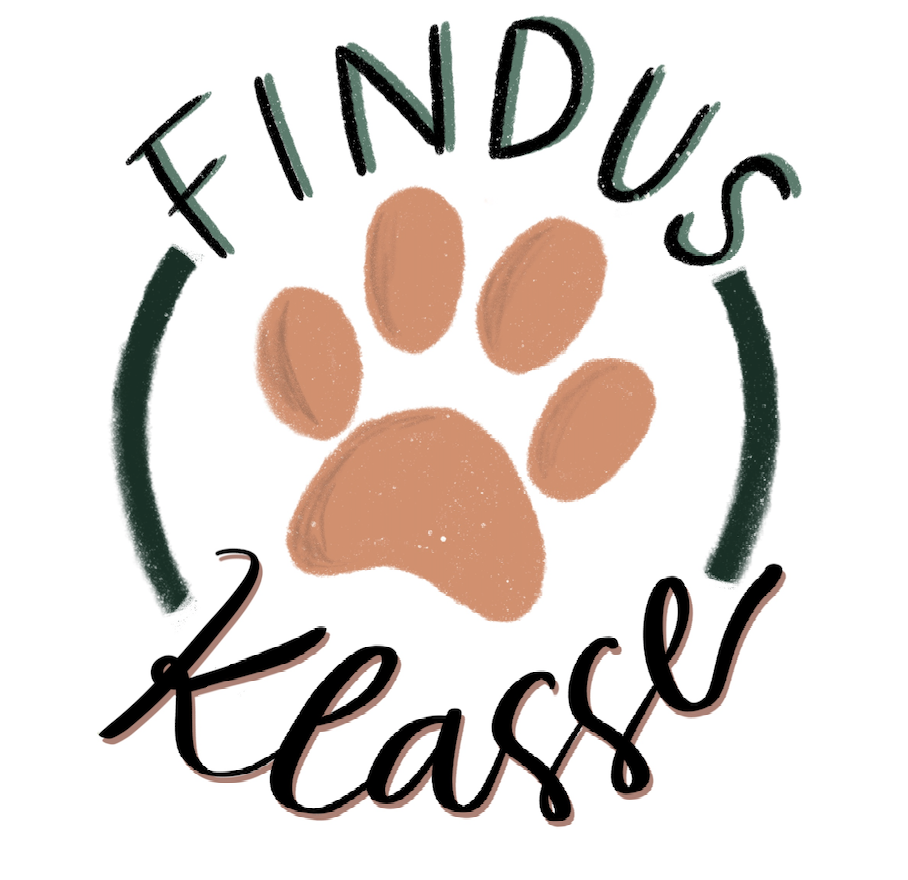 Findusklasse